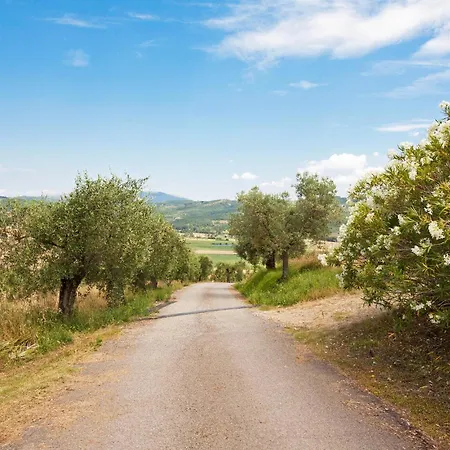 Apartment Cozy In Castiglione Del *