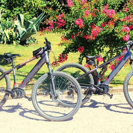 Cozy In Castiglione Del *